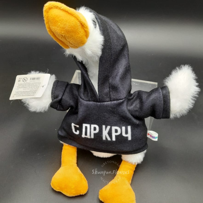 Гусь с др крч