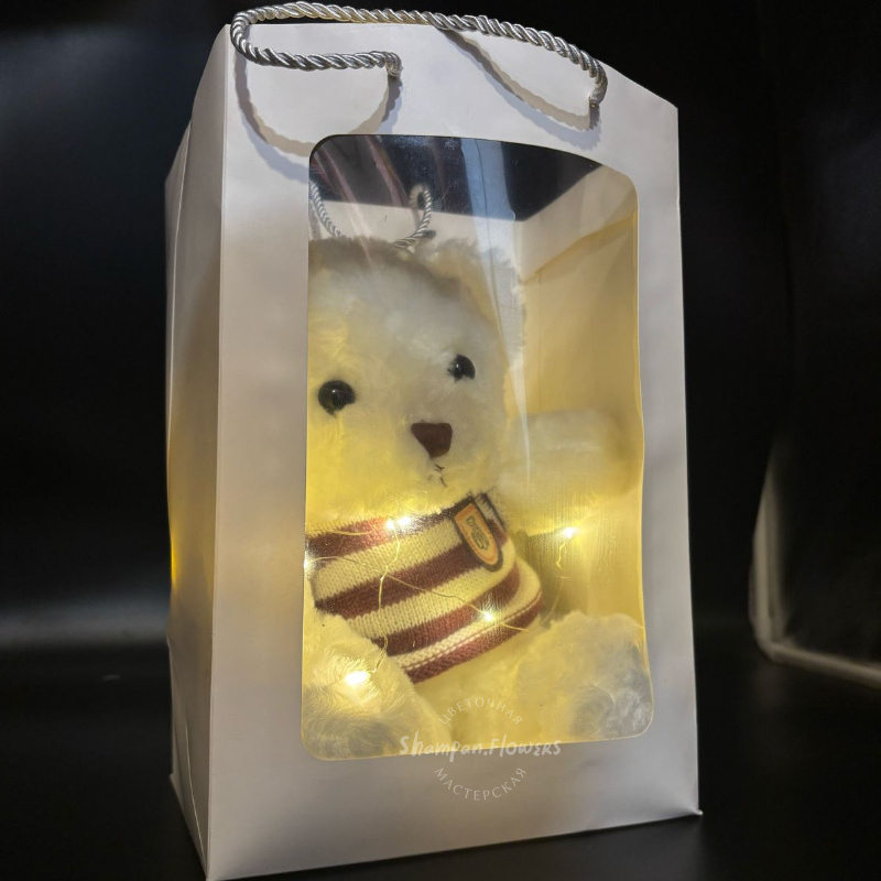 игрушка мишка в подарочном пакете  1