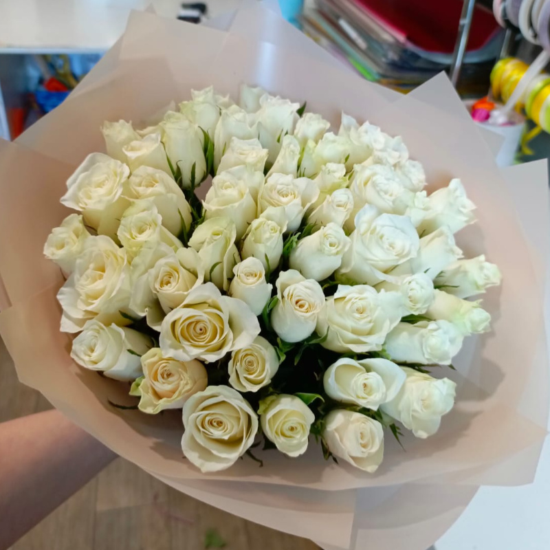 кения белая )