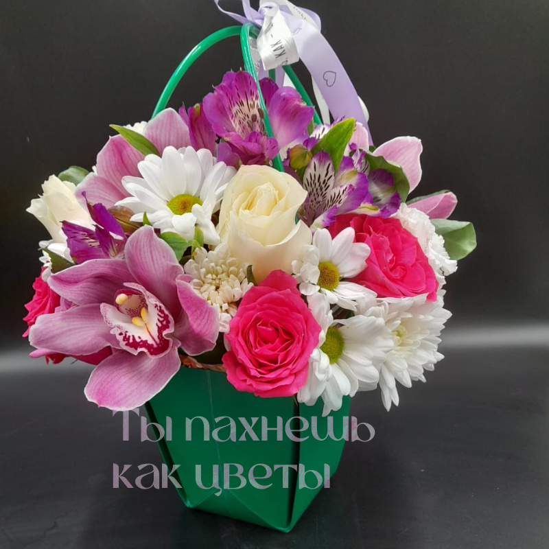 цветущая орхидея 2