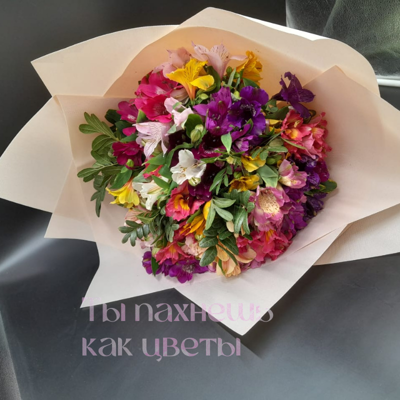 ВОЛШЕБНАЯ АЛЬСТРА 1