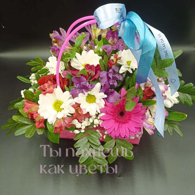 Лесная сказка