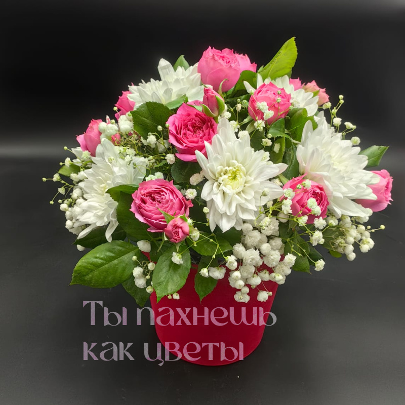 улыбка дня