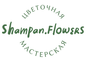 Логотип
